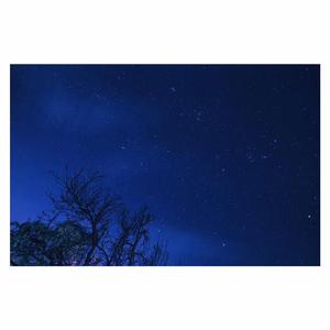 国产成人综合自拍
